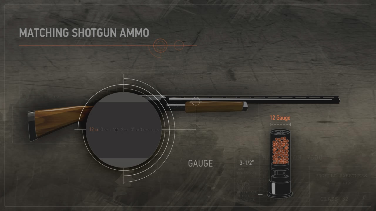 Illustration of a shotgun with a close up on its data stamp and the matching ammunition with its measurements.