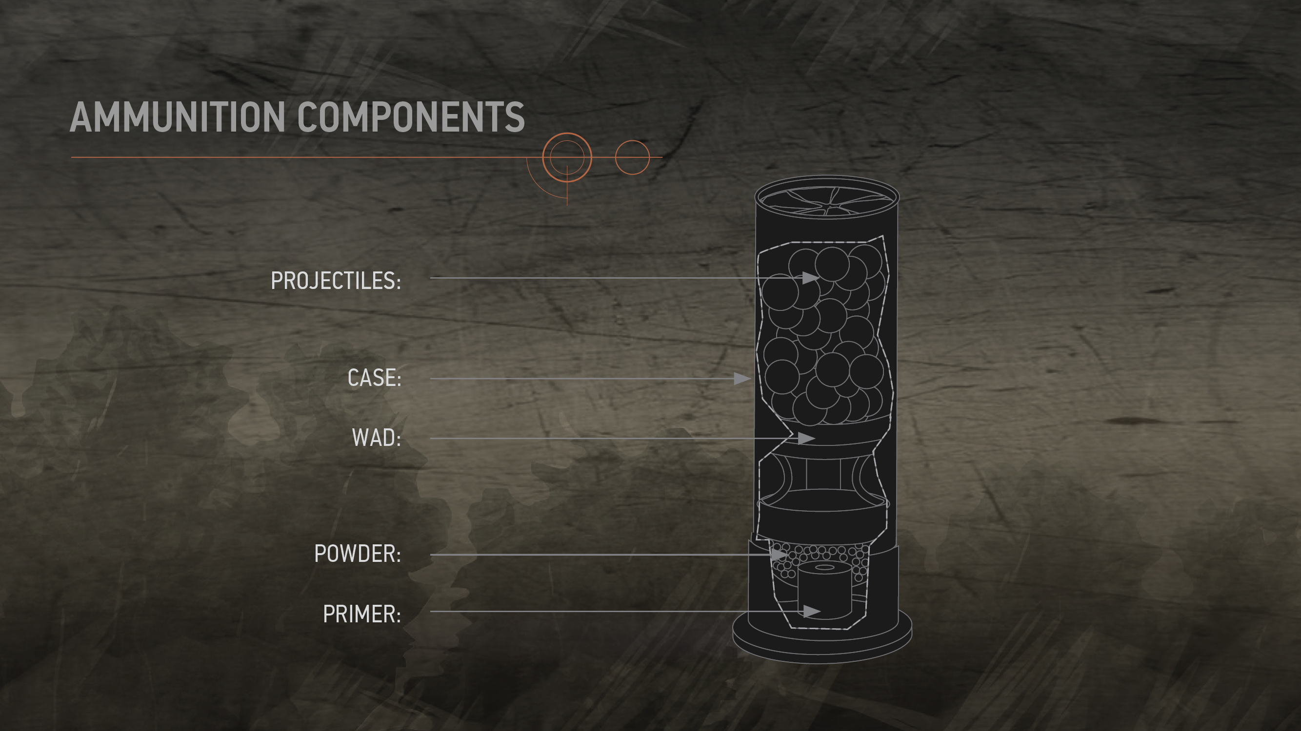 Illustration showing the inner components of cartridge and shotshell ammunition. Components identified include projectiles, cases, powder, primer and wad (shotshells only).
