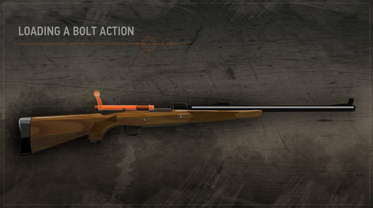 Illustration of a bolt action rifle with the action open and highlighted in orange.