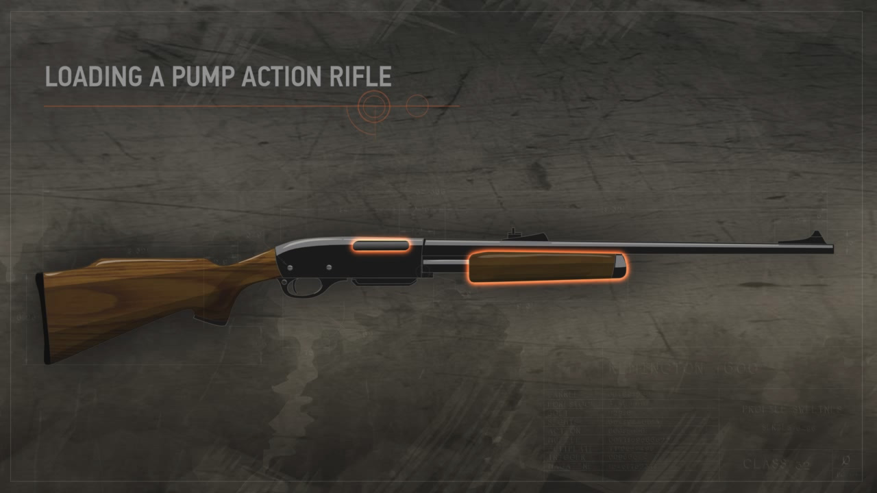 Illustration of a pump action rifle with the chamber and forestock highlighted in orange.