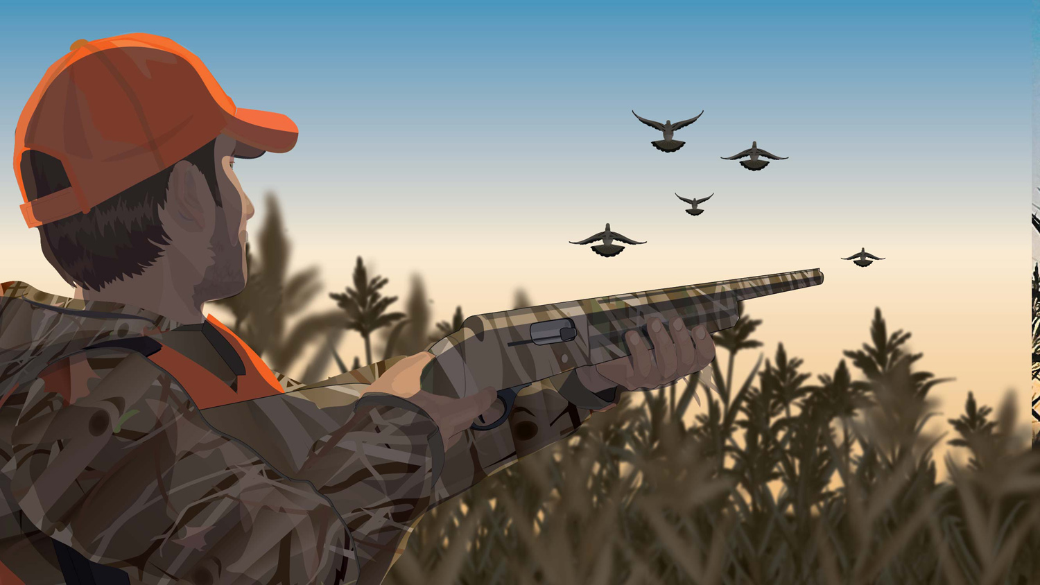 Illustration of a camouflaged hunter hunting flying game birds.